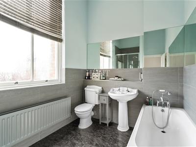 Picture 7